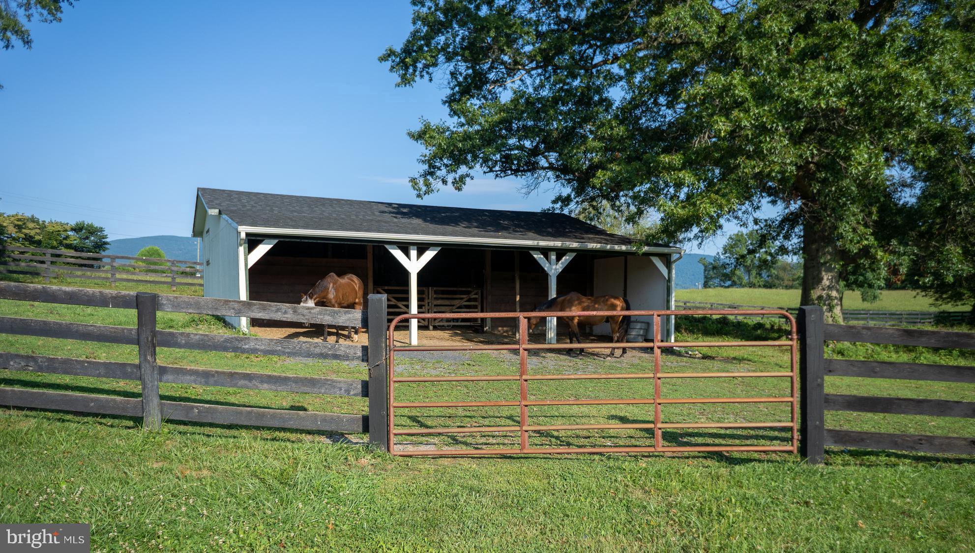 74 Resettlement Road Huntly, VA 22640 - Photo 37 of 40 Two-Stall Barn