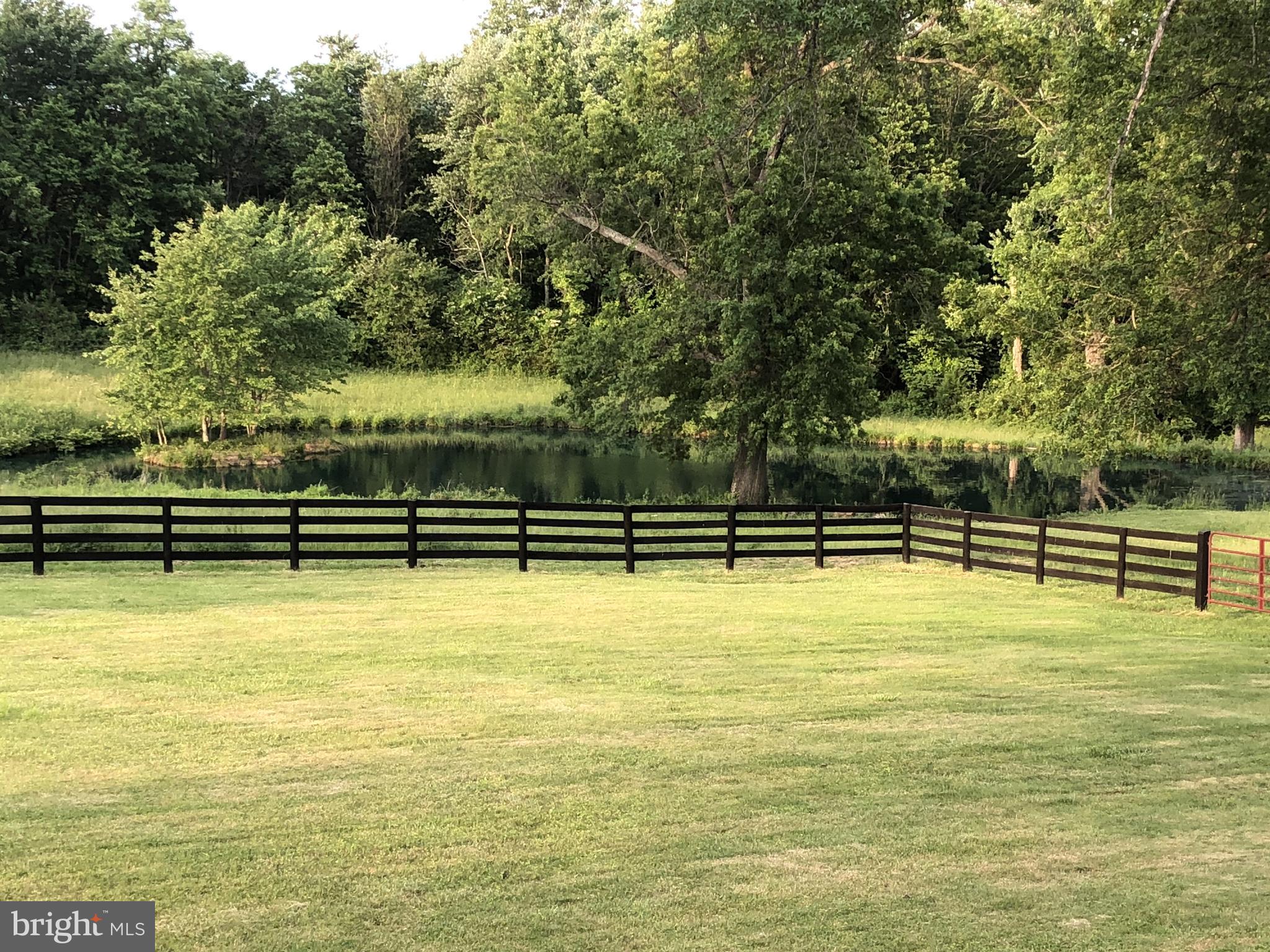 74 Resettlement Road Huntly, VA 22640 - Photo 38 of 40 Pond View
