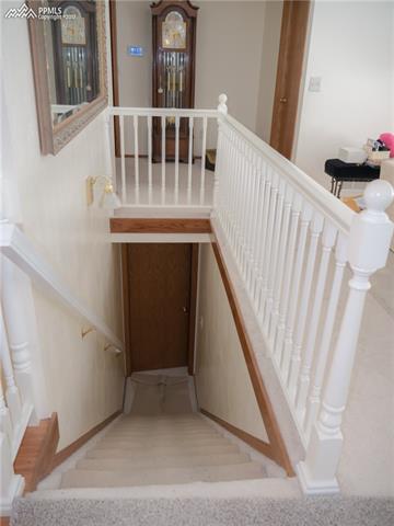 4685 Centauri Road Colorado Springs, CO 80919 - Photo 22 of 35 Gallery Image 22