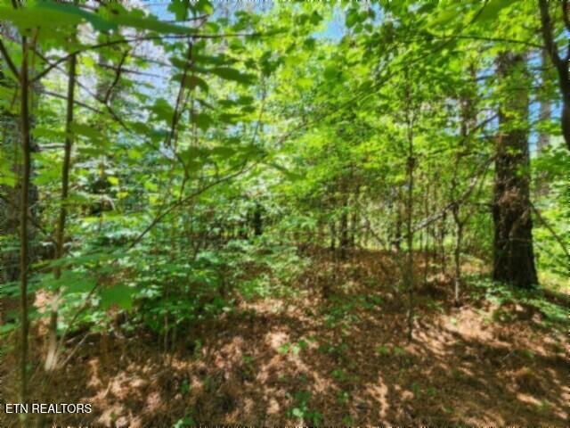 674 Rhodas Way Sunbright, TN 37872 - Photo 23 of 37 20260629_124051