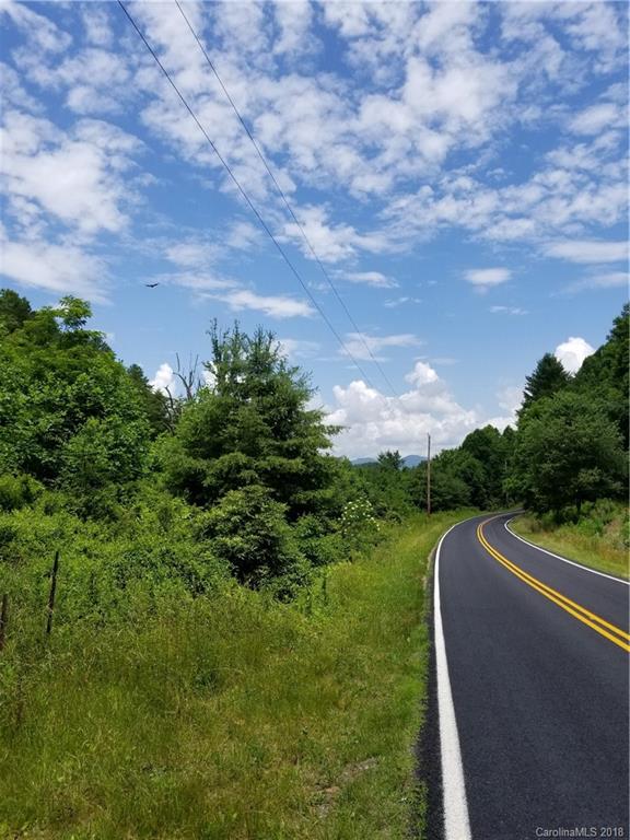 10-acres Off Rabbit Skin Road, Unit TRACT 3 Waynesville, NC 28785 - Photo 14 of 21 Gallery Image 14