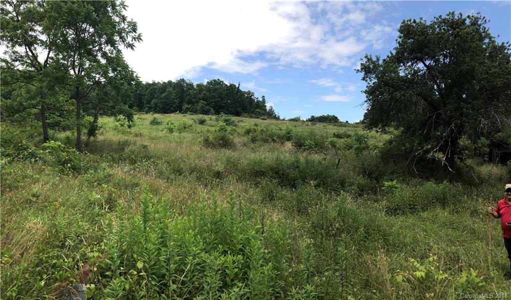 10-acres Off Rabbit Skin Road, Unit TRACT 3 Waynesville, NC 28785 - Photo 17 of 21 Gallery Image 17