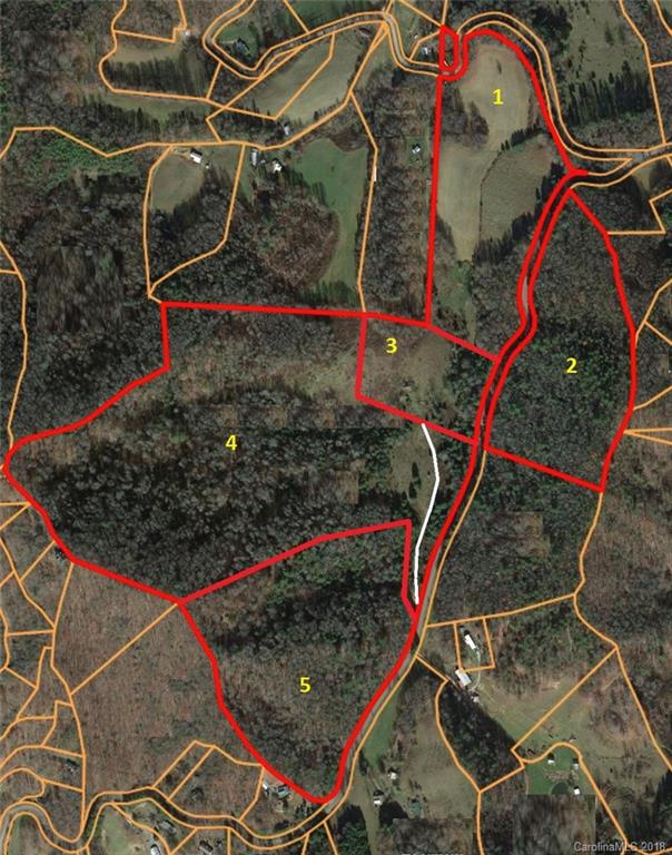 10-acres Off Rabbit Skin Road, Unit TRACT 3 Waynesville, NC 28785 - Photo 20 of 21 Gallery Image 20