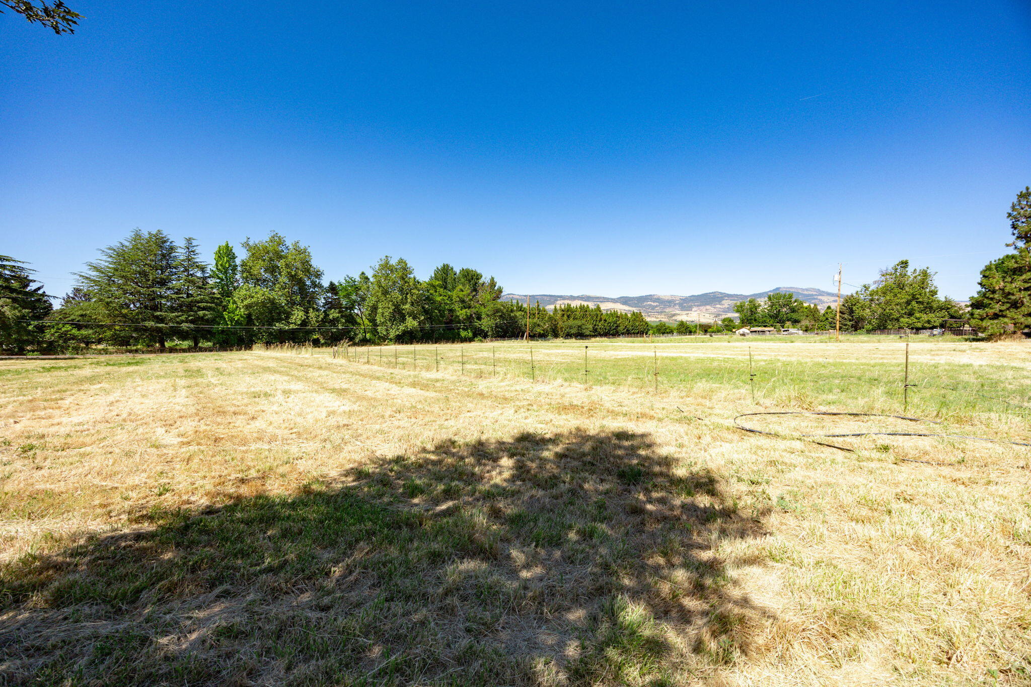 705 Foss Road Talent, OR 97540 - Photo 85 of 93 Pasture