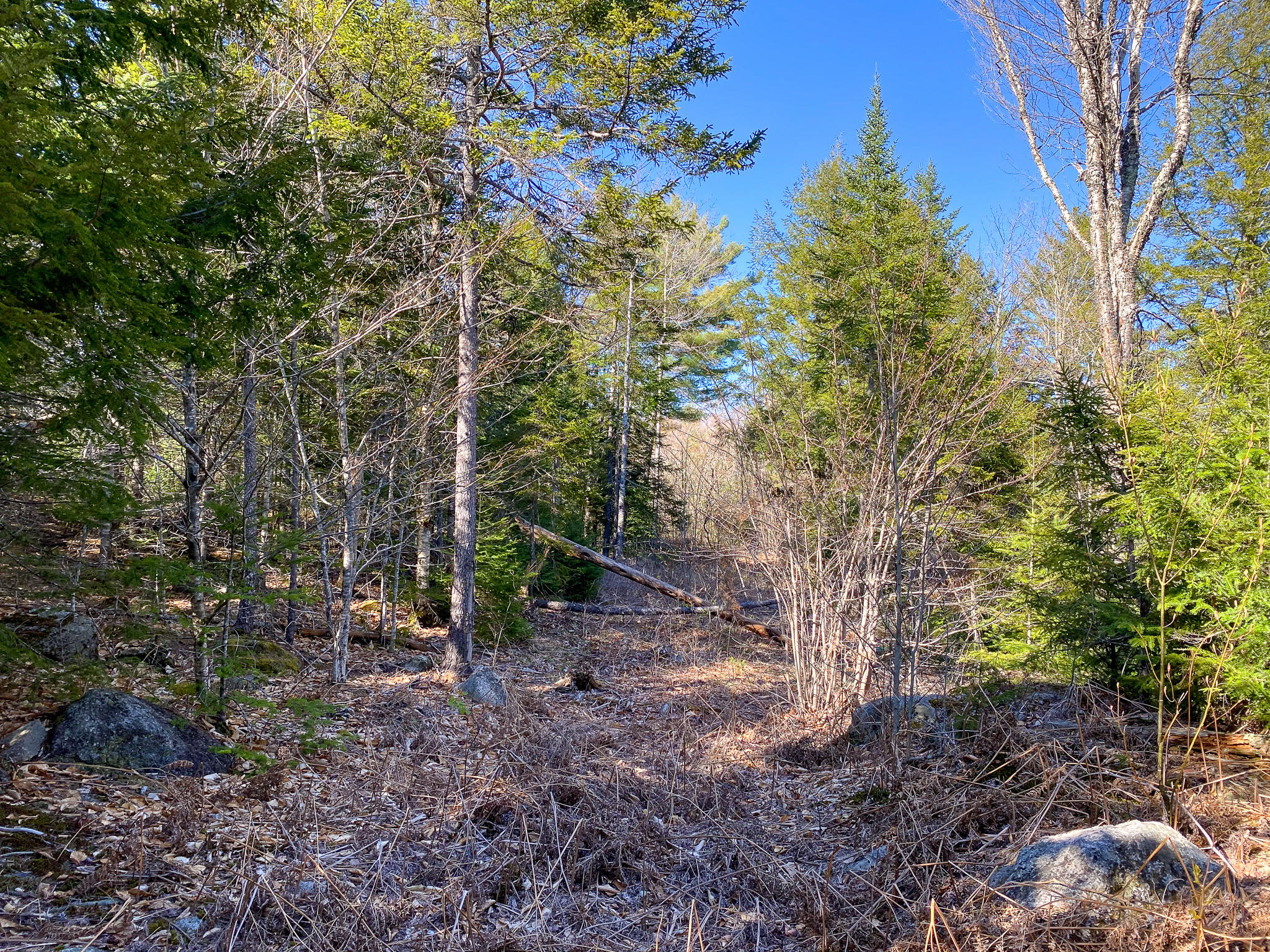 1510 Otis Road Ellsworth, ME 04605 - Photo 14 of 20 IMG_3159