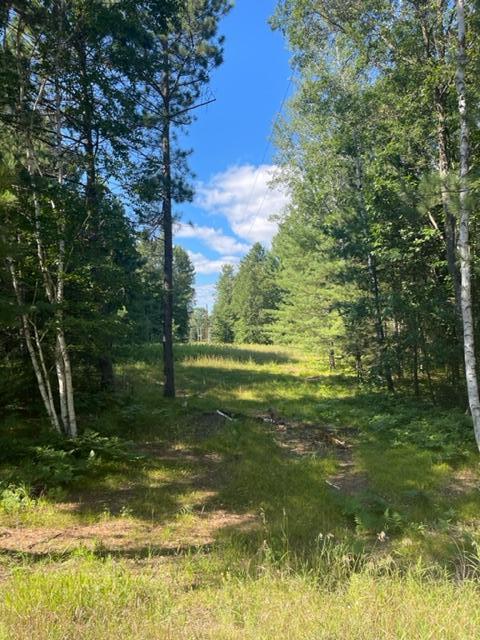 Xxx Mendenhall Road South Finlayson, MN 55735 - Photo 1 of 24 Gallery Image 1