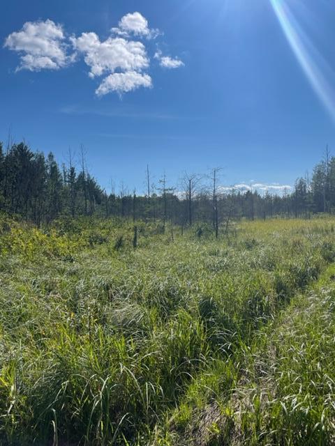 Xxx Mendenhall Road South Finlayson, MN 55735 - Photo 17 of 24 Gallery Image 17