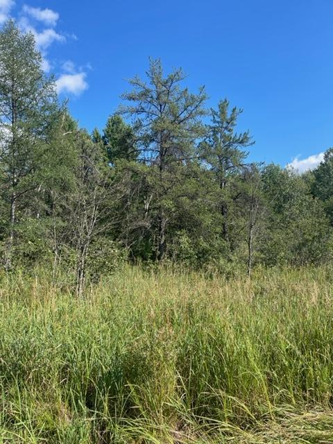Xxx Mendenhall Road South Finlayson, MN 55735 - Photo 18 of 24 Gallery Image 18