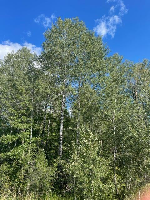 Xxx Mendenhall Road South Finlayson, MN 55735 - Photo 19 of 24 Gallery Image 19