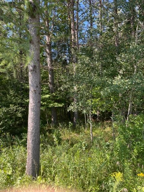 Xxx Mendenhall Road South Finlayson, MN 55735 - Photo 20 of 24 Gallery Image 20