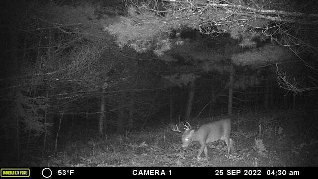 Xxx Mendenhall Road South Finlayson, MN 55735 - Photo 2 of 24 Gallery Image 2