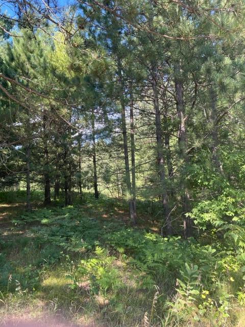 Xxx Mendenhall Road South Finlayson, MN 55735 - Photo 21 of 24 Gallery Image 21