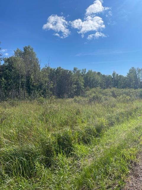 Xxx Mendenhall Road South Finlayson, MN 55735 - Photo 8 of 24 Gallery Image 8