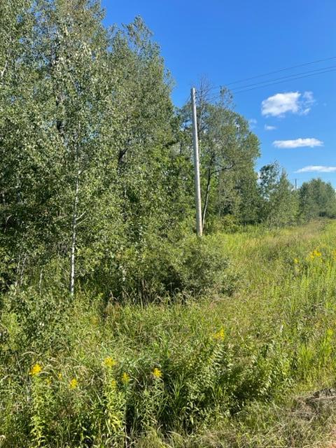 Xxx Mendenhall Road South Finlayson, MN 55735 - Photo 10 of 24 Gallery Image 10