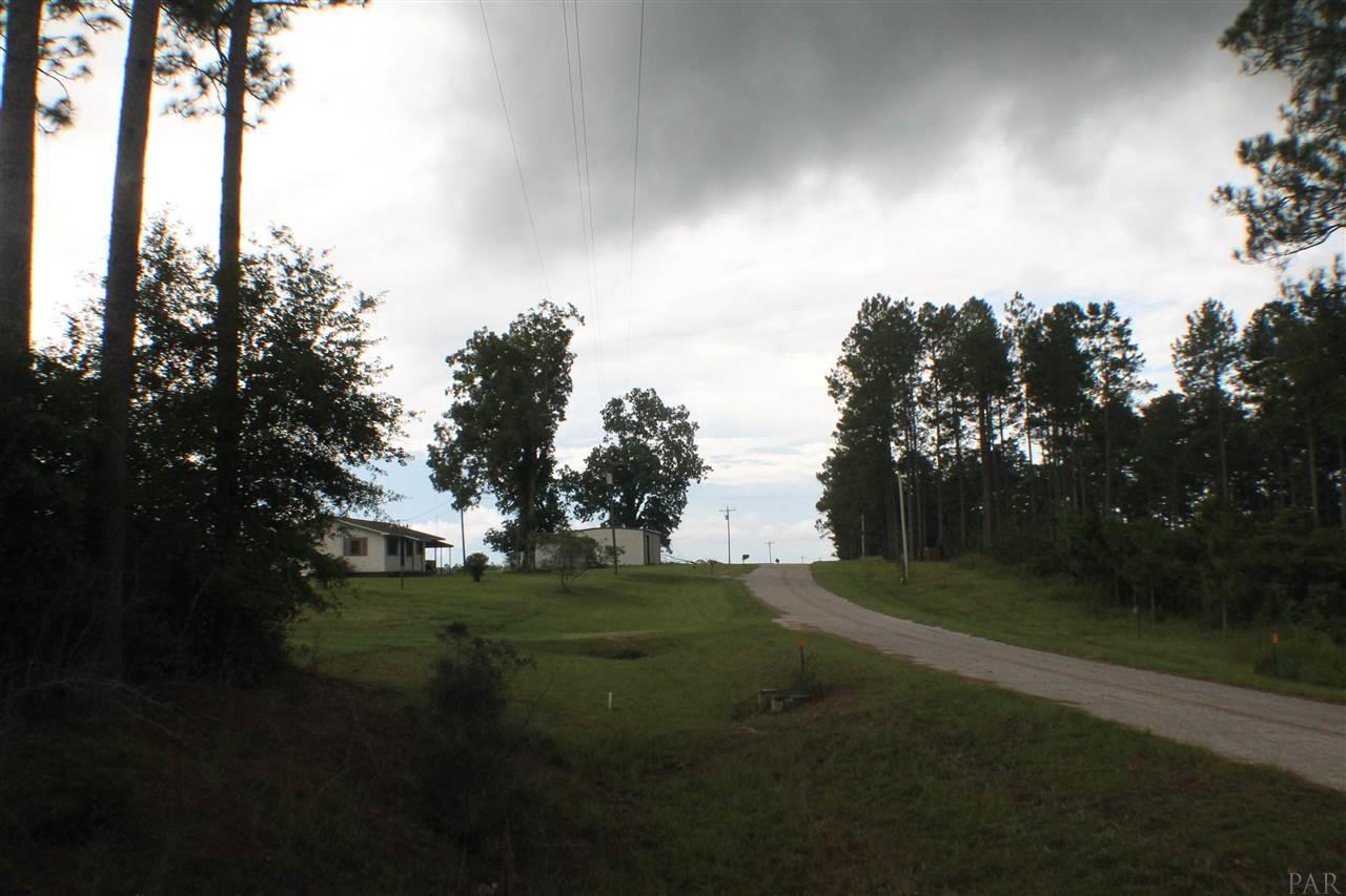 1875 Rock Creek Road Wing, AL 36483 - Photo 3 of 25