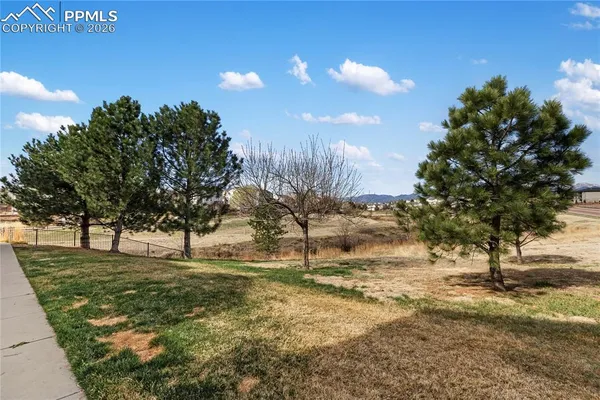 a view of yard with tree