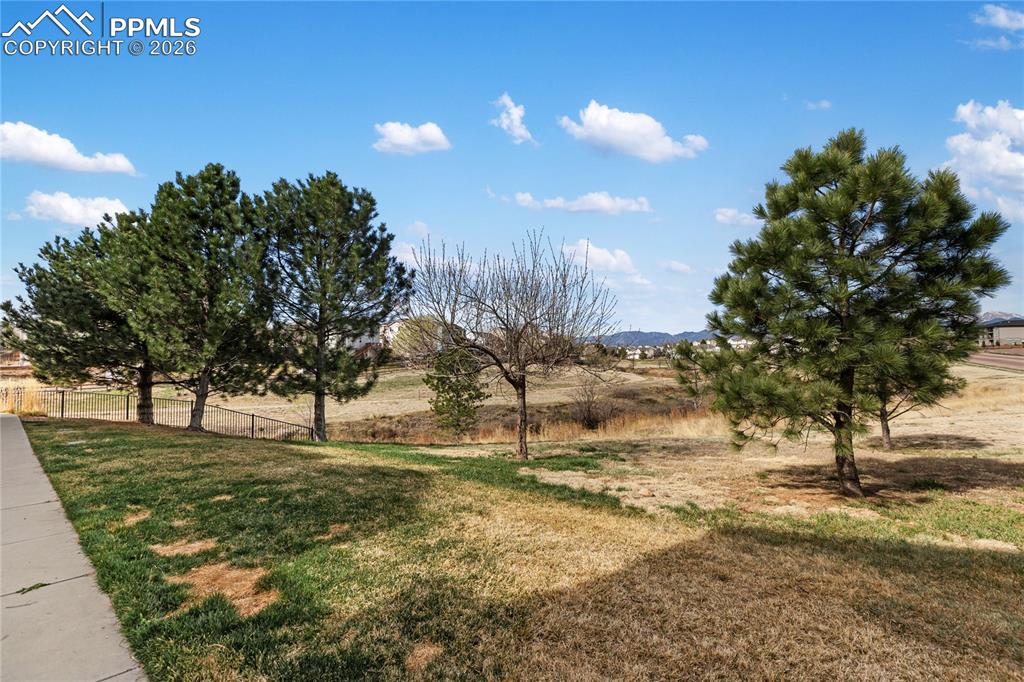 7309 Sandy Springs Point Fountain, CO 80817 - Photo 28 of 35 a view of yard with tree