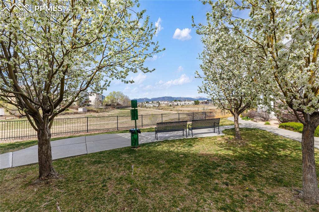7309 Sandy Springs Point Fountain, CO 80817 - Photo 29 of 35 a view of a yard with an trees