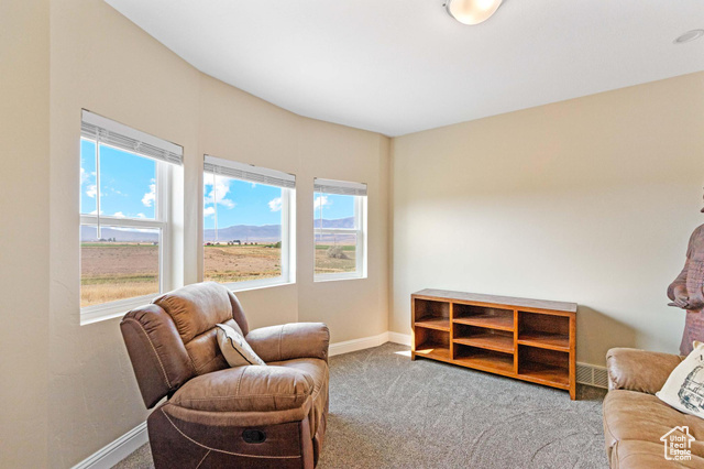19502 South Olson Road Downey, ID 83234 - Photo 26 of 64 Sitting room featuring carpet floors and baseboards