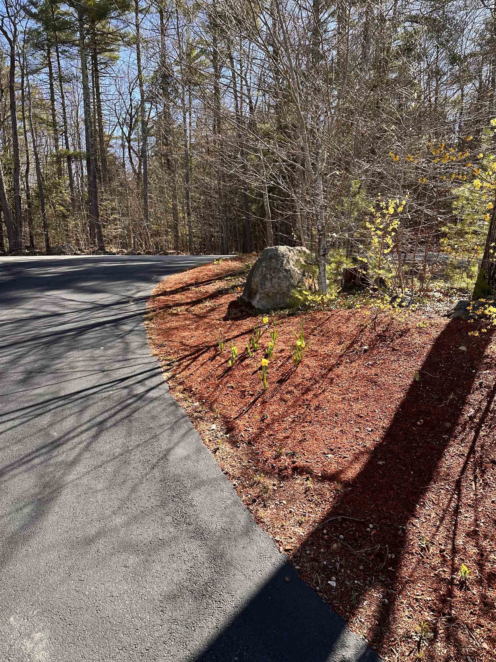 378 Silver Street Middleton, NH 03887 - Photo 48 of 58