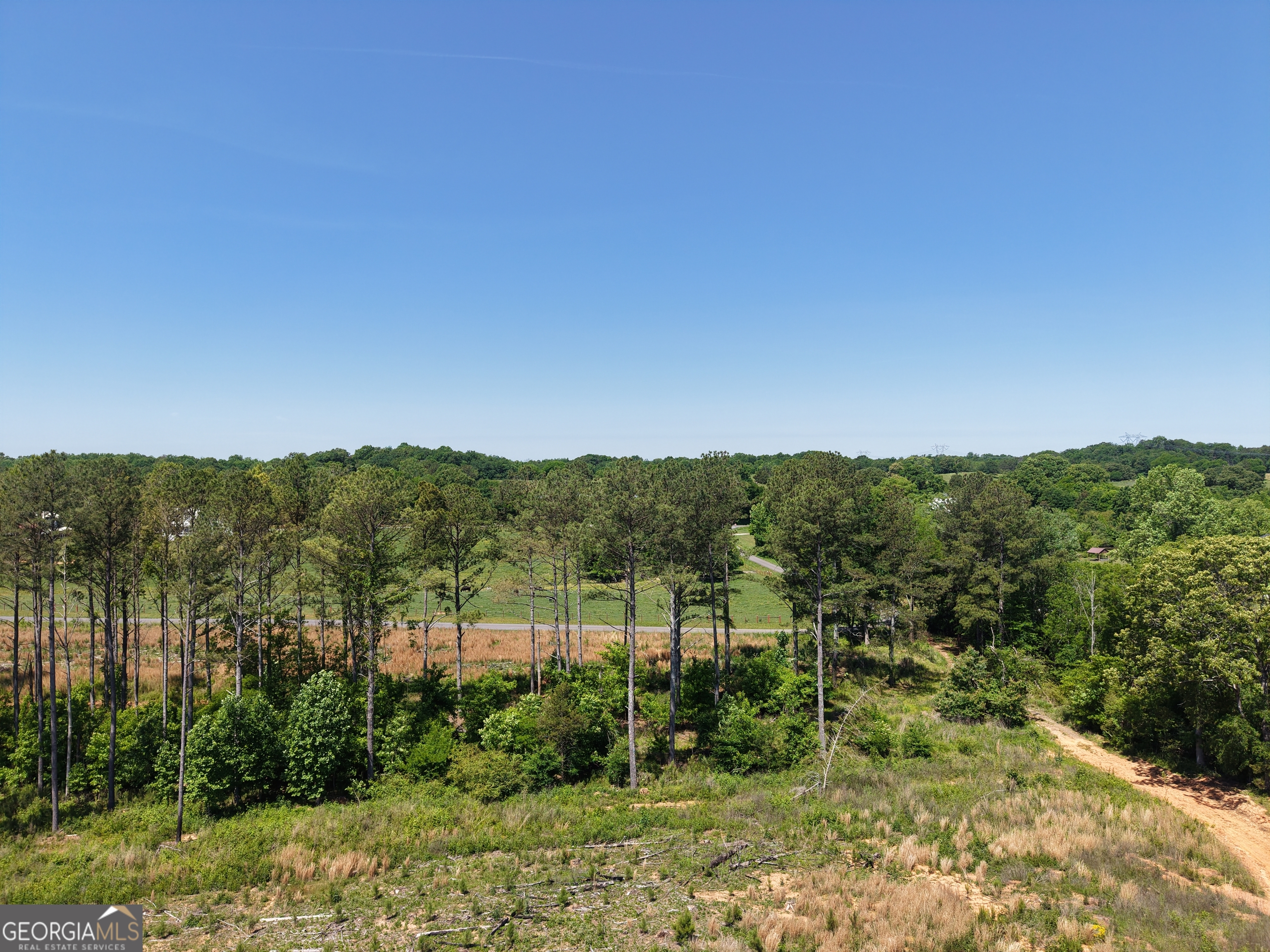 0 Bishop Loop Road, Unit 7400/9555 Fairmount, GA 30139 - Photo 7 of 42 a view of a lush green outdoor space with a lake view