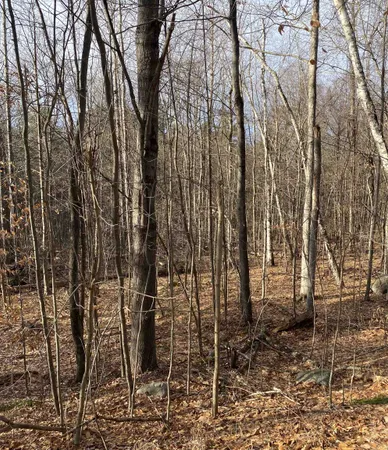 $149,000 | 8 Fred Johnson Circle, Unit 16, Middlebury, VT 05753