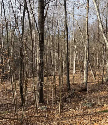 $149,000 | 8 Fred Johnson Circle, Unit 16, Middlebury, VT 05753