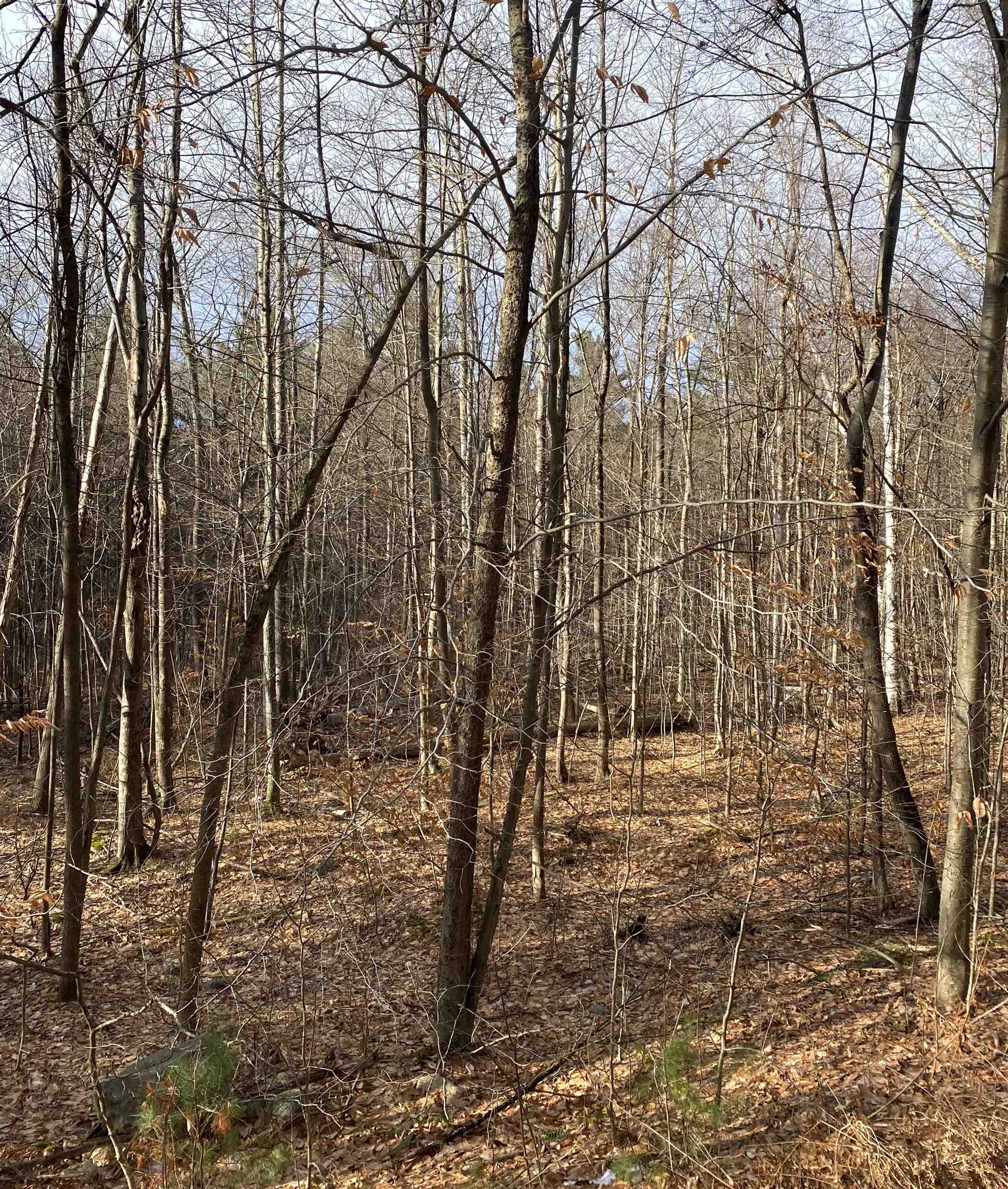 8 Fred Johnson Circle, Unit 16 Middlebury, VT 05753 - Photo 2 of 6