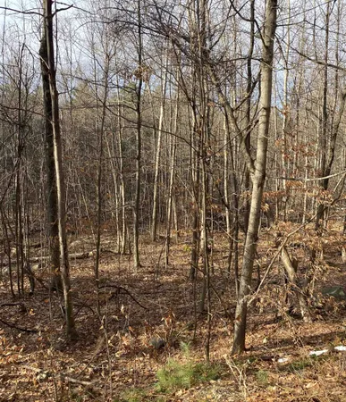 $149,000 | 8 Fred Johnson Circle, Unit 16, Middlebury, VT 05753