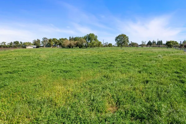 a view of a grassy field with trees
