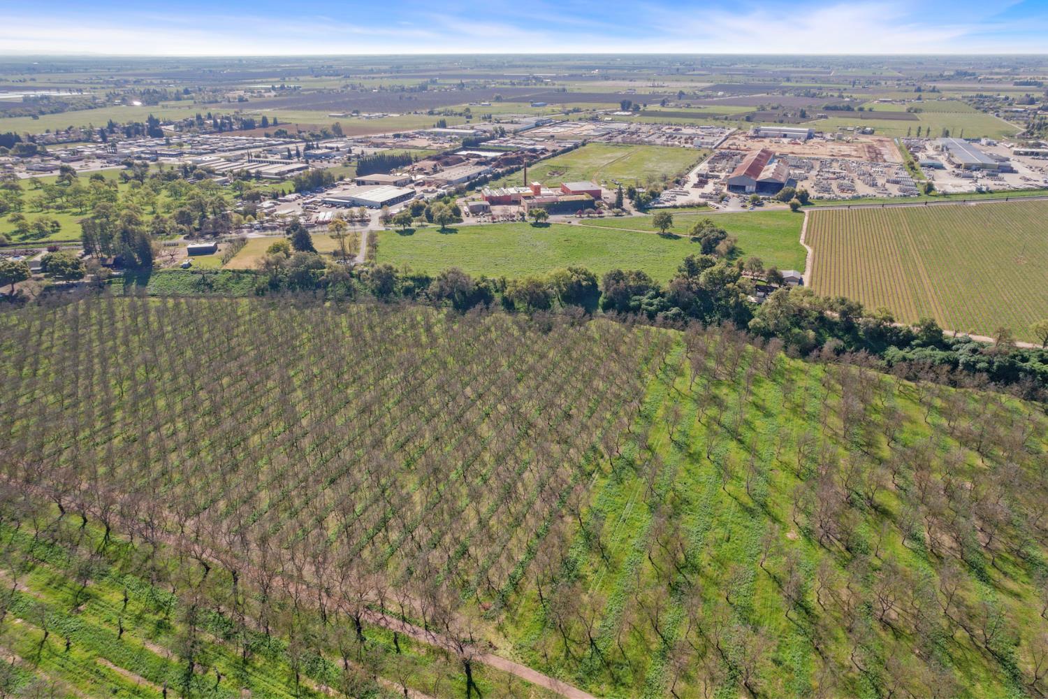 12521 Locke Road Lockeford, CA 95237 - Photo 9 of 24 a view of lake view and mountain view