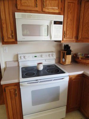 401 Eagle Ridge Roanoke, VA 24012 - Photo 5 of 27 eagle ridge Stove and MicrowaveA