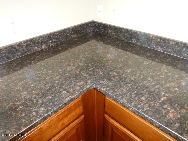 280 South Evergreen Road, Unit 1298 Tempe, AZ 85288 - Photo 32 of 51 p1020620