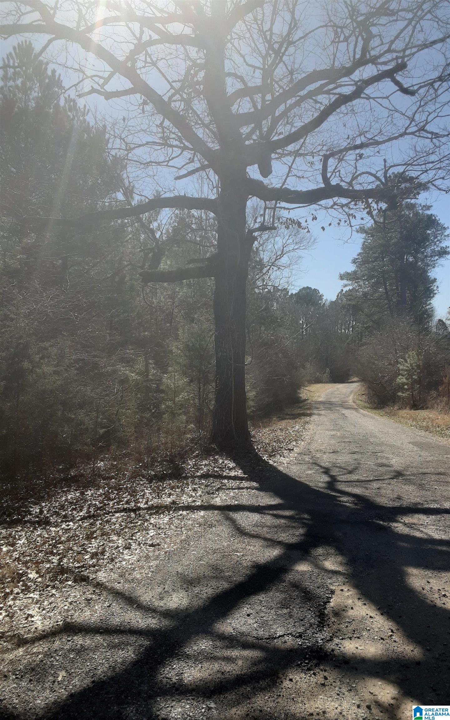 5385 Littleton Kilgore Road Dora, AL 35062 - Photo 21 of 27