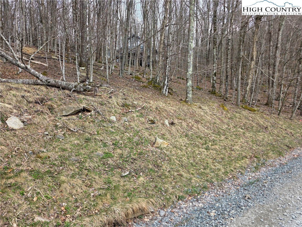 109 Hawthorne Road Beech Mountain, NC 28604 - Photo 5 of 10 a view of backyard with trees