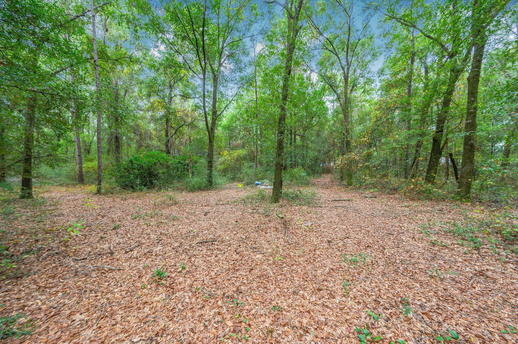 477 John King Road Crestview, FL 32539 - Photo 56 of 62 tempImagelaSjII