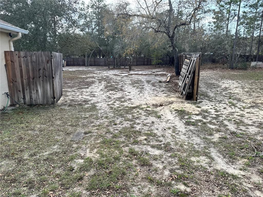 12055 Robina Road Weeki Wachee, FL 34614 - Photo 11 of 64 a backyard of a house with lots of green space