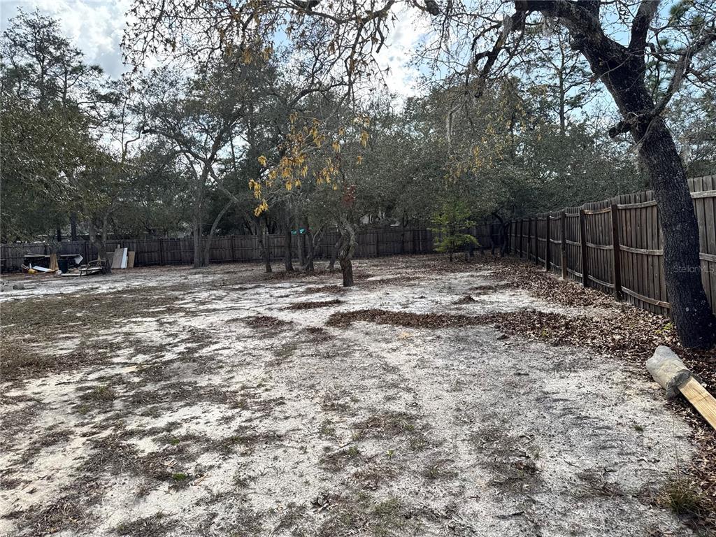 12055 Robina Road Weeki Wachee, FL 34614 - Photo 48 of 64 a view of outdoor space with trees