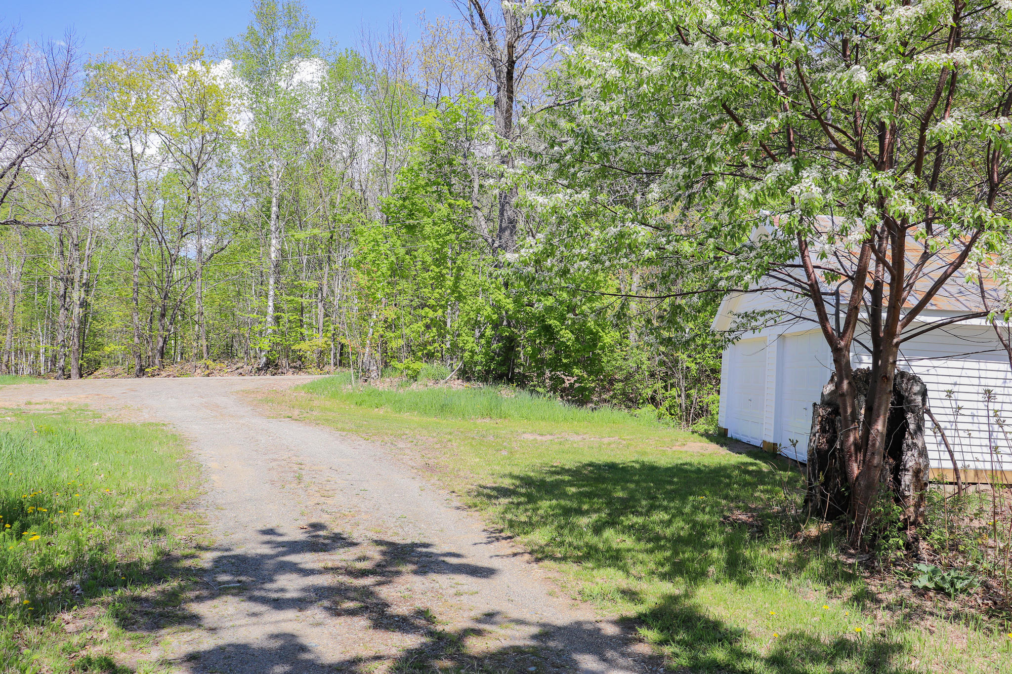 9 Wheeler Hill Road Phillips, ME 04966 - Photo 20 of 30 IMG_8570