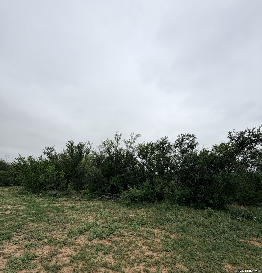 87 Quinney Road Carrizo Springs, TX 78834 - Photo 13 of 18