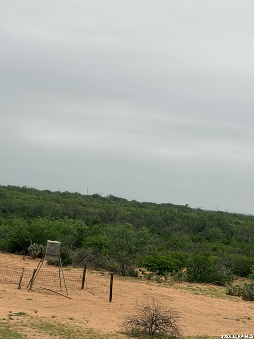 87 Quinney Road Carrizo Springs, TX 78834 - Photo 17 of 18