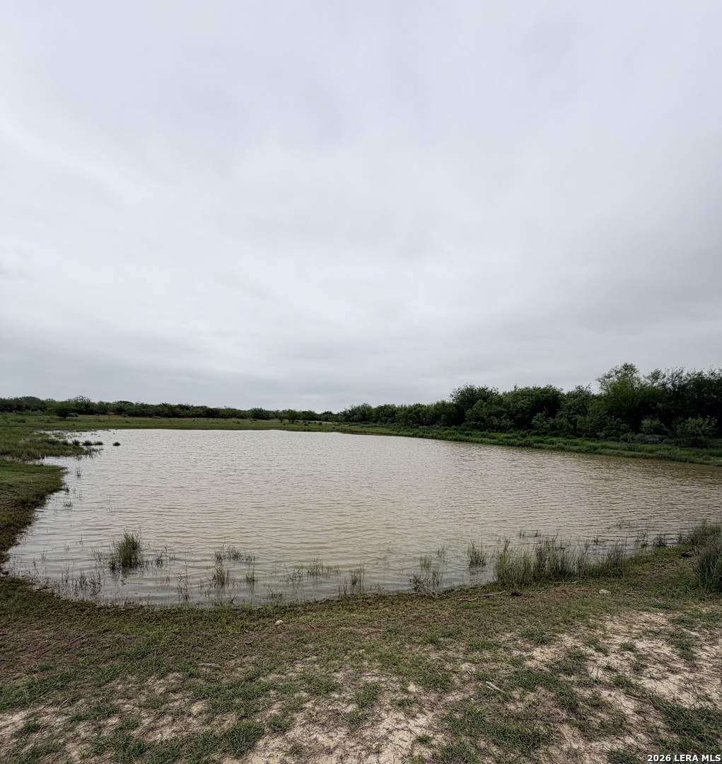 87 Quinney Road Carrizo Springs, TX 78834 - Photo 2 of 18