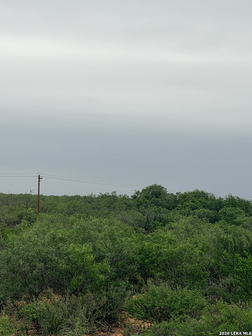 87 Quinney Road Carrizo Springs, TX 78834 - Photo 3 of 18