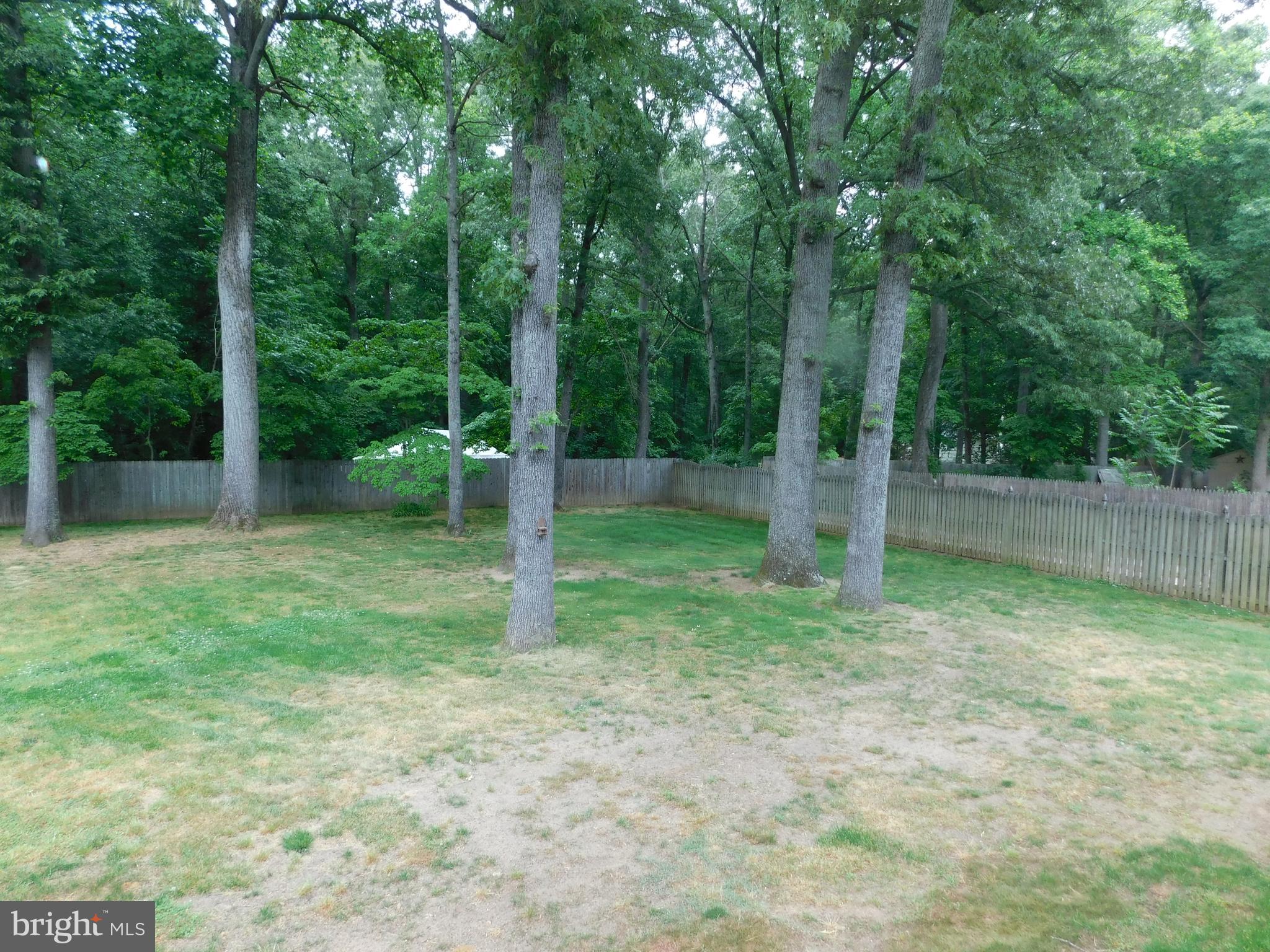 3707 Nile Road Davidsonville, MD 21035 - Photo 29 of 30 Backyard View