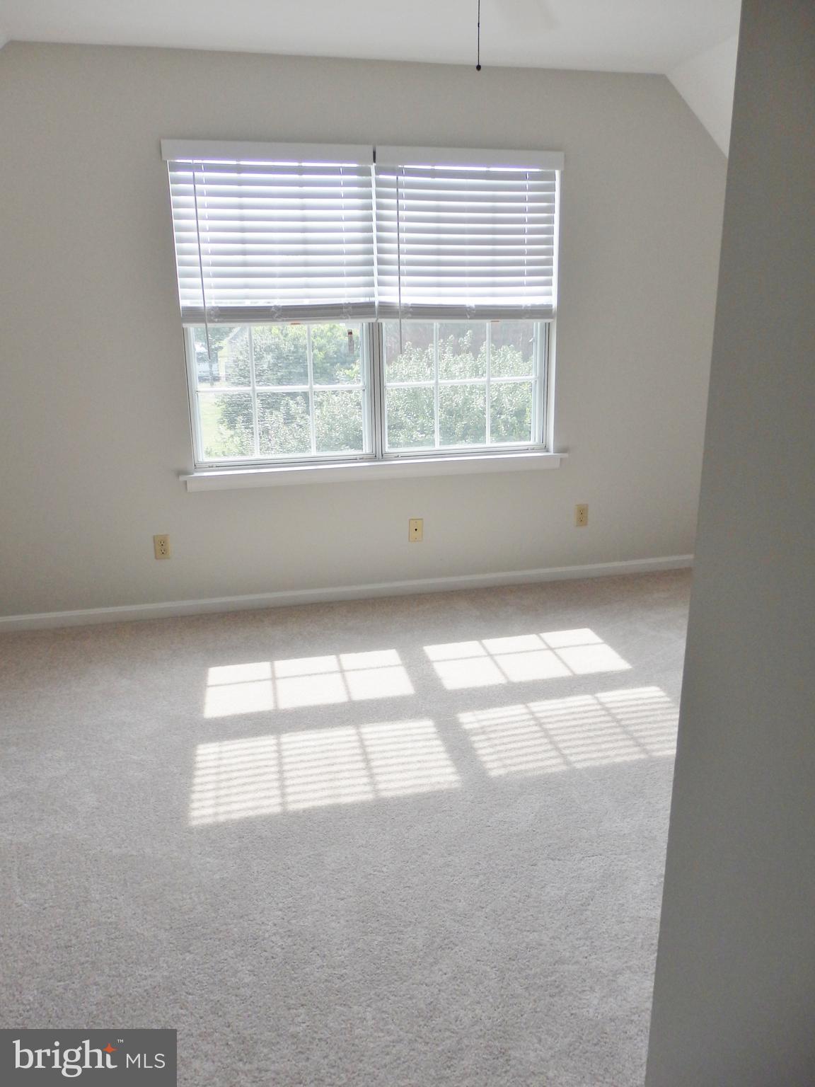 49945 Fenwick's Pride Lane Ridge, MD 20680 - Photo 46 of 64 Upper Level Bedroom 2 with Natural Light