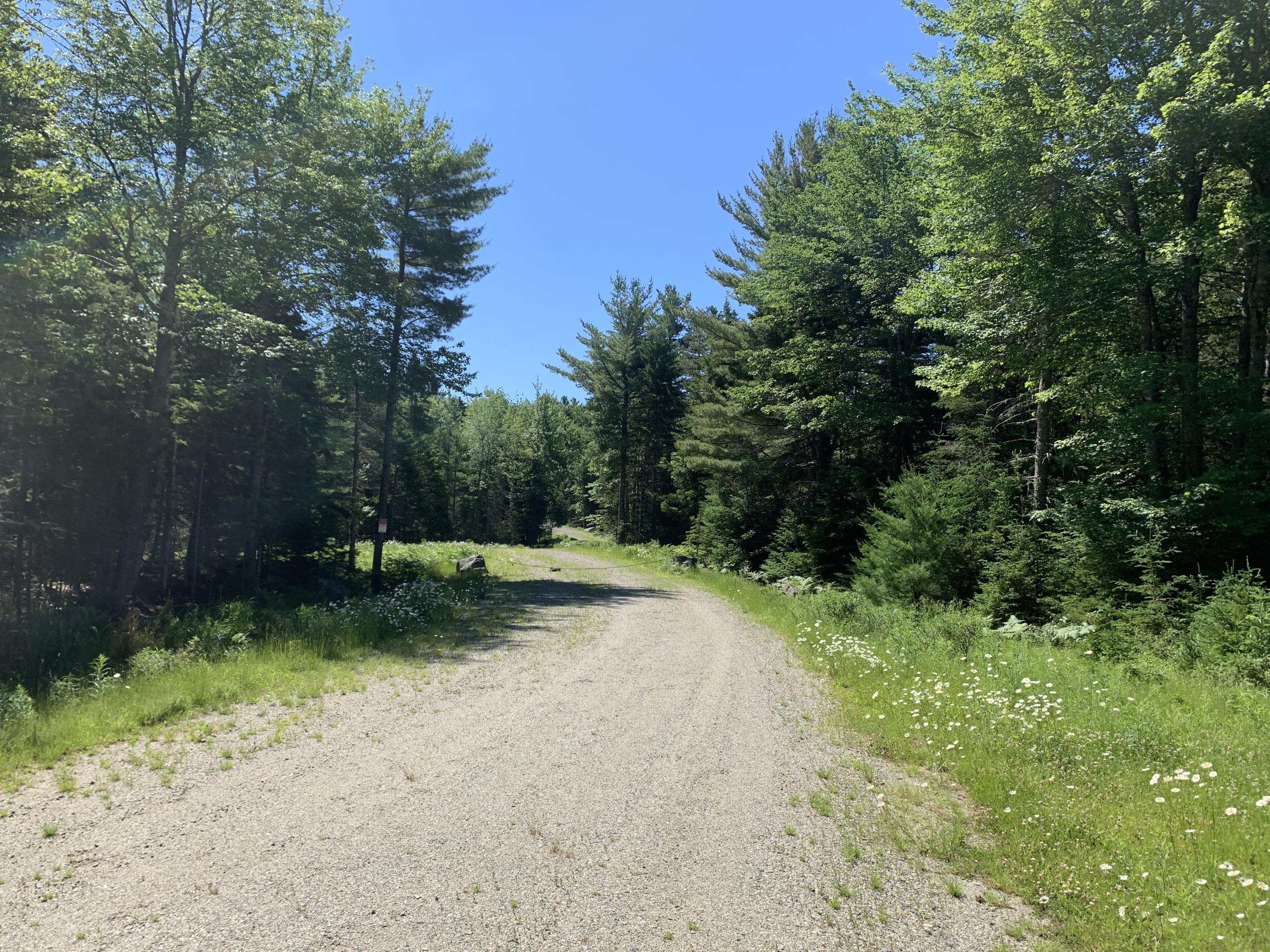 0 Patty Lp Road Mount Desert, ME 04660 - Photo 3 of 6 IMG_5992