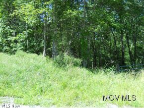 0 Oil Ridge Road Harrisville, WV 26362 - Photo 3 of 4 Gallery Image 3