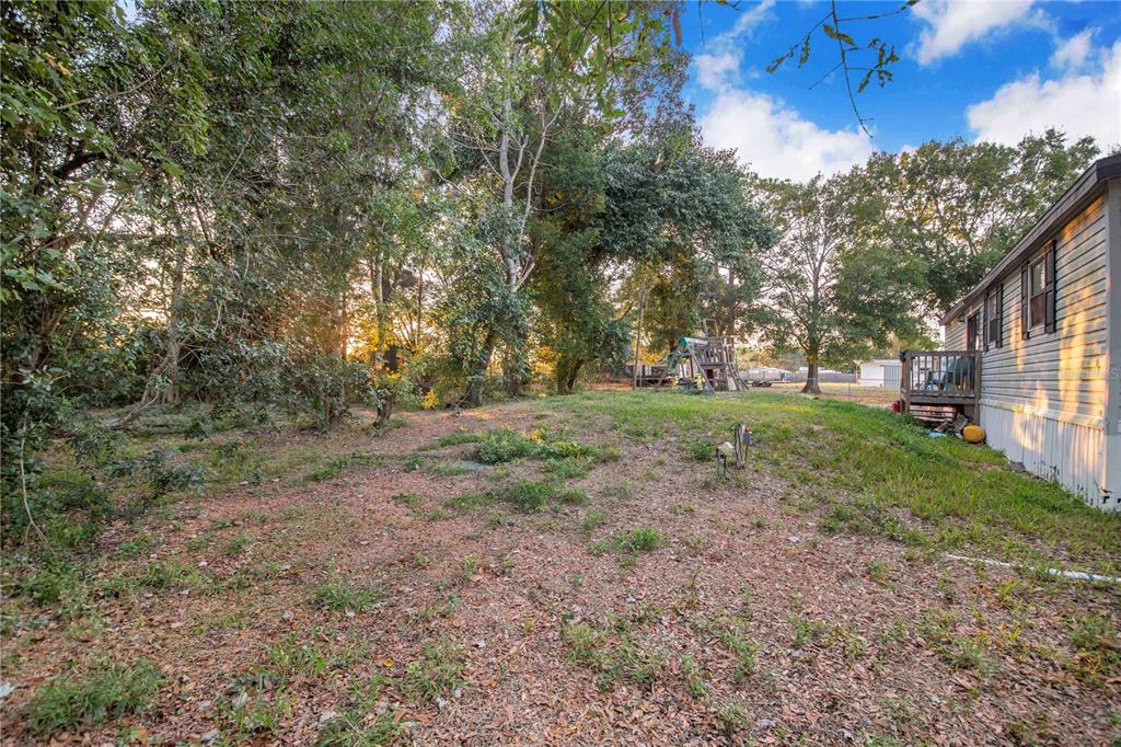 2747 Old Bartow Road Lake Wales, FL 33859 - Photo 21 of 30 a view of a yard with a tree