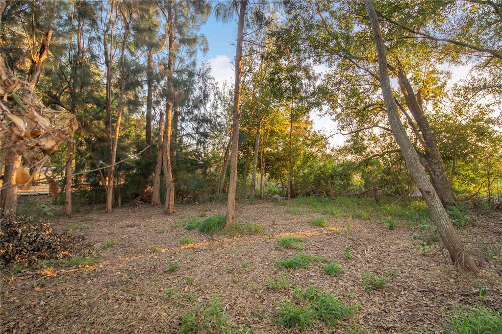 2747 Old Bartow Road Lake Wales, FL 33859 - Photo 24 of 30 a view of a forest with trees in the background