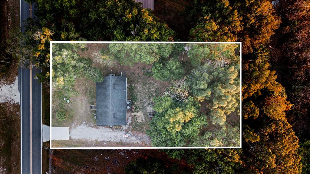 2747 Old Bartow Road Lake Wales, FL 33859 - Photo 28 of 30 an outdoor view from window